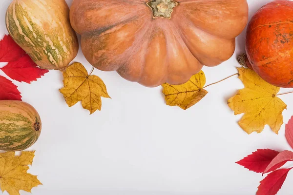 Creatieve herfst compositie met pompoenen en gele bladeren — Stockfoto