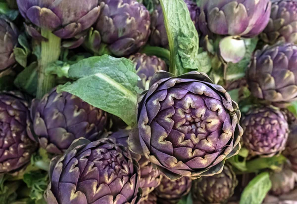 Nahaufnahme lila Artischocken auf dem Markt — Stockfoto