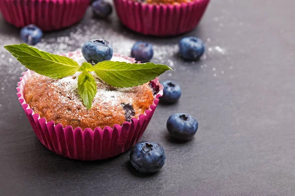 Delicious blueberry muffins powdered with icing sugar — Stock Photo, Image