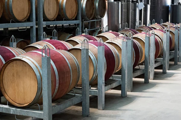 Fila de barris com vinho tinto em uma vinícola moderna . — Fotografia de Stock