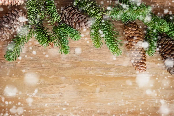 Composition créative de Noël avec brunchs de sapin et cônes de pin — Photo