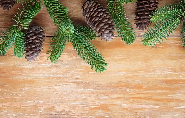Composition créative de Noël avec brunchs de sapin et cônes de pin — Photo