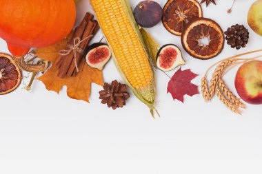 Şükran düz sonbahar hasat, baharat ve sarı yaprakları ile yatıyordu