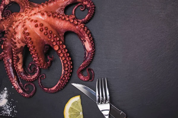Gekookte octopus op zwarte stenen achtergrond close-up. — Stockfoto