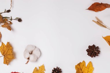 Sarı yapraklı sonbahar çerçevesi ve farklı kuru bitkiler