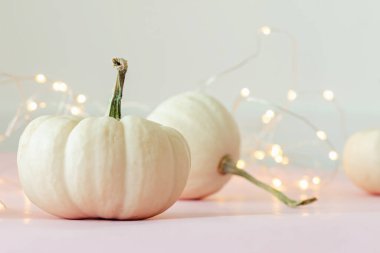 Beyaz balkabakları yakın plan ve arka planda parlayan bokeh ışıkları.