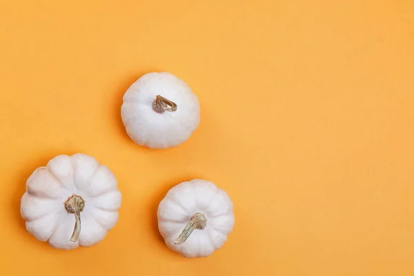 White autumn pumpkins on yellow background. — Stock Photo, Image