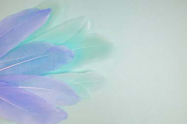 Pastel renkli tüyler mavi arka planda. Çekimser arkaplan