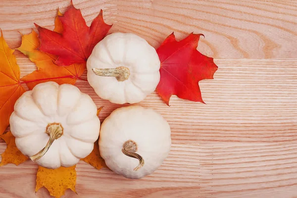 Pequeñas calabazas blancas y hojas de otoño —  Fotos de Stock