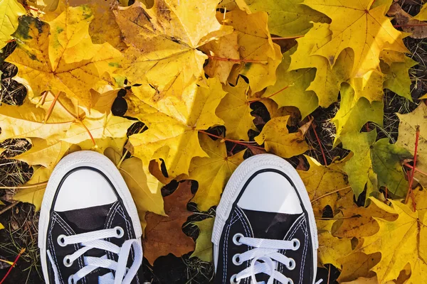 Vrouwen voeten in sneakers staan op gevallen gele herfstbladeren — Stockfoto