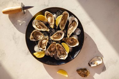 Lezzetli taze istiridyeler ve beyaz mermer masada buz küpleri.