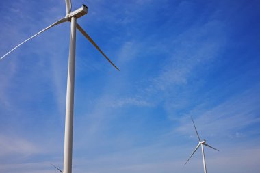 Rüzgar türbinleri alternatif enerji üretiyor