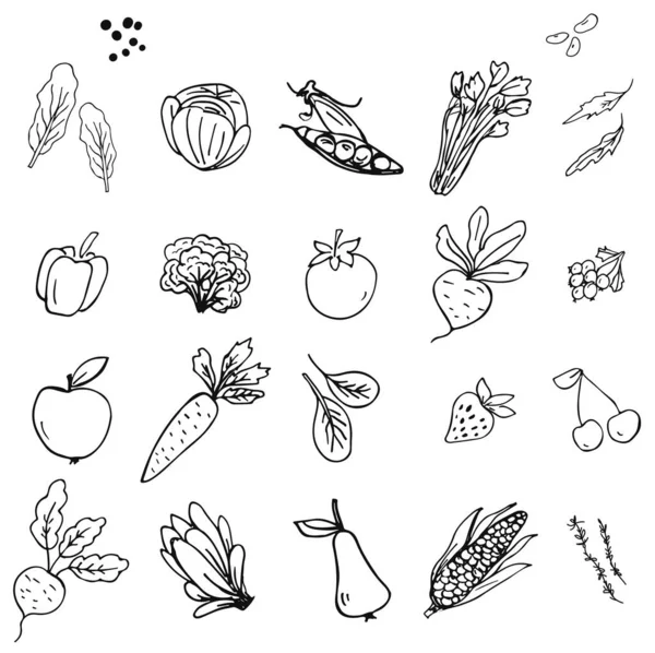 Ручные иконы овощей и фруктов — стоковый вектор