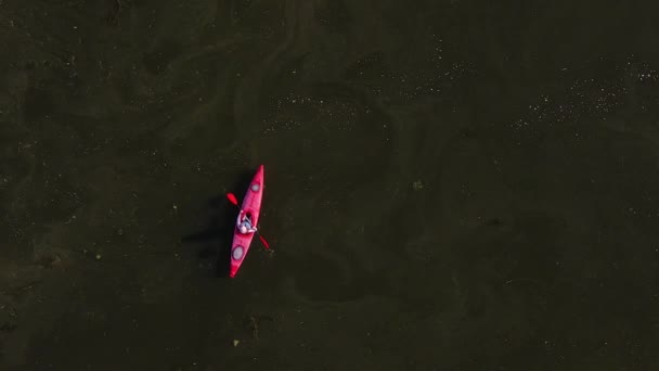 Vista aérea de mujer joven es kayak en el lago en verano. — Vídeos de Stock