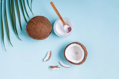 Sağlıklı hindistan cevizi yağı. Mavi arkaplanda hindistan cevizleri, düz konum