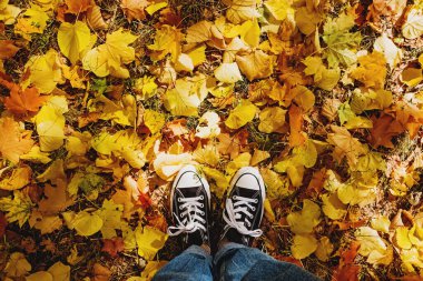 Spor ayakkabıları ve kot pantolonlar sarı yapraklarla yerde duruyor.