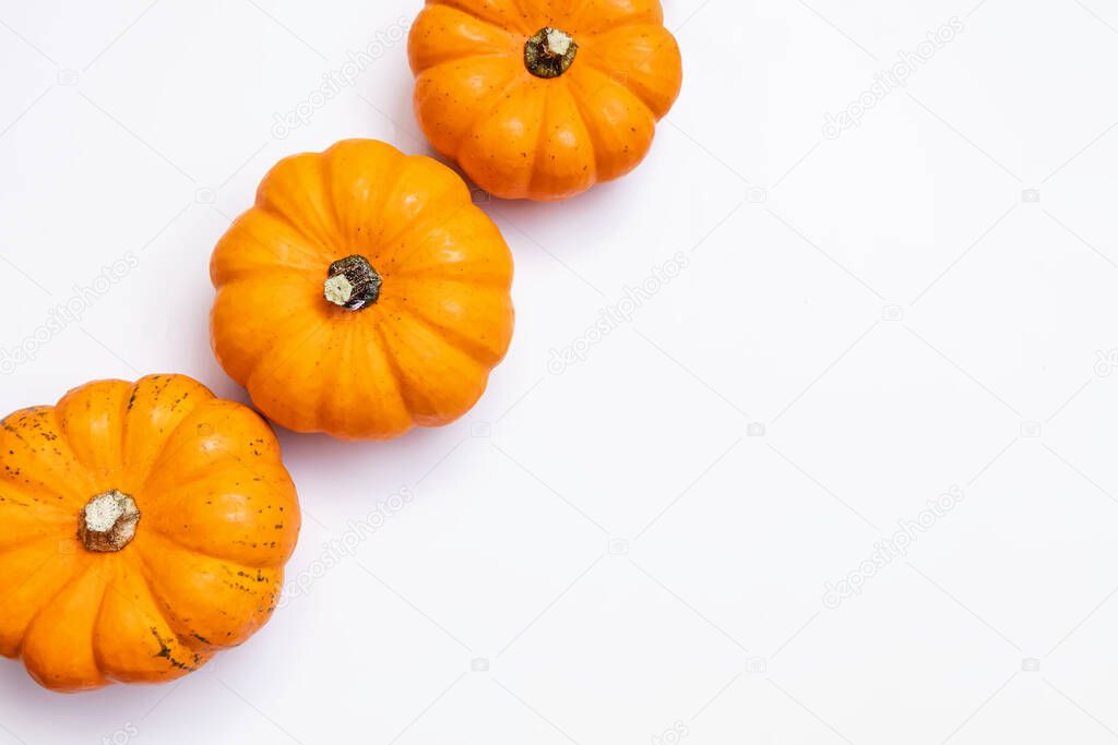 Small decorative pumpkins on white background