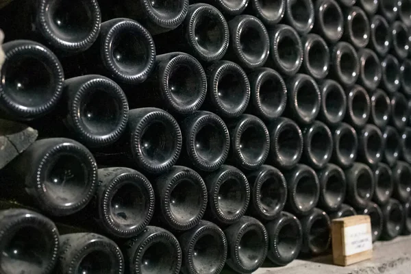 Garrafas de vinho velho empoeirado na adega — Fotografia de Stock