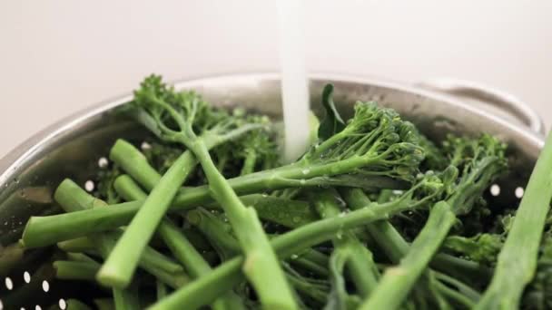 Broccolini με τρεχούμενο νερό από τη βρύση — Αρχείο Βίντεο