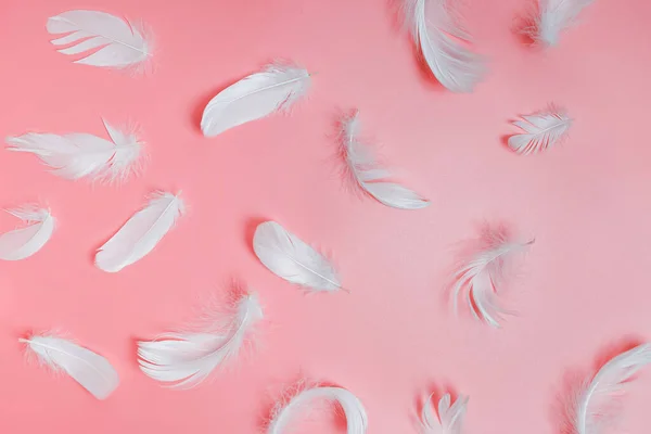 White fluffy bird feathers on pink background