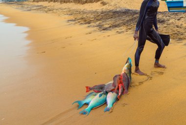 Balıkçılar tarafından sahilde taze balık, dalgıç sualtı tüfeği wetsuit neopren altında Scuba Diver Yüzme büyük balık vurdu..