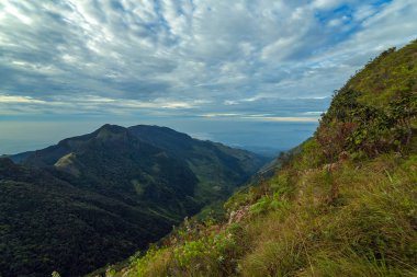 Dağlar manzara bulut ormanı. Dünyanın sonu Horton Plains Milli Parkı Sri Lanka.
