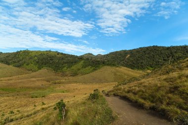 Sri Lanka 'nın Horton Plains Ulusal Parkı yaylaları ve Montan otlakları ve bulut ormanlarıyla kaplıdır. Seylan, Asya.