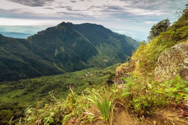 Dağlar manzara bulut ormanı. Dünyanın sonu Horton Plains Milli Parkı Sri Lanka.
