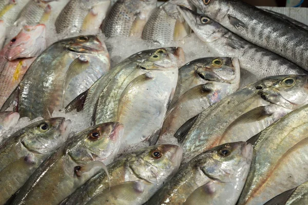 Peixe Fresco Fresco Gelo Mercado Rua Contexto Frutos Mar Alimentos — Fotografia de Stock