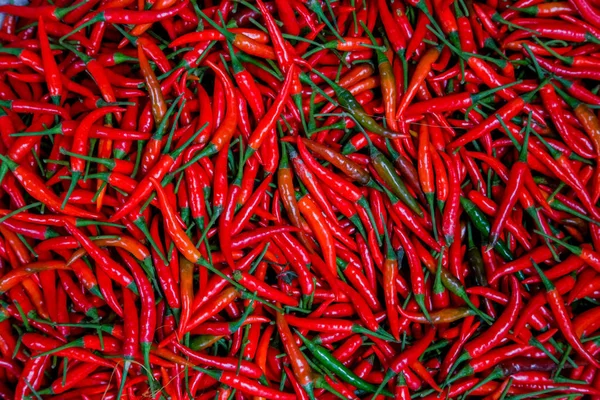 Red Chillies red spicy hot pepper Background