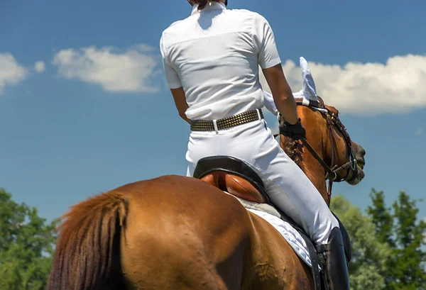 Jockey Beim Pferderennen Sattel Mit Steigbügeln Auf Hengst — Stockfoto