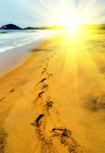 Printemps Soleil Empreintes Pas Dans Route Plage Sable Dans Les — Photo