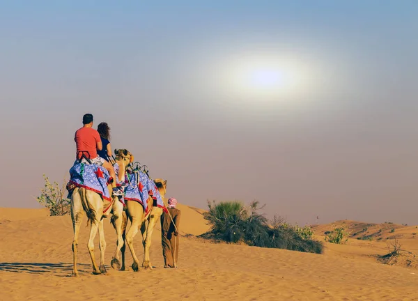 Wiosna Zachód Turystyczna Camel Safari Piaszczystych Wydm Pustyni — Zdjęcie stockowe