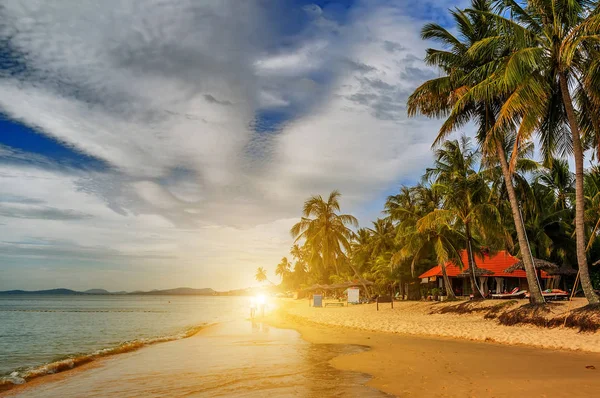 Primavera Tramonto Spiaggia Estate Tropicale Natura Albero Palma Isola Sfondo — Foto Stock