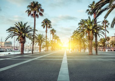 Bahar gündoğumu Port Vell mesire yerleri ile palmiye ağaçları Barcelona İspanya sokaklarında.