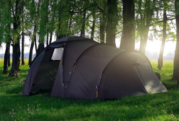 森林キャンプの緑の草草原 幸せな春の日の緑の観光キャンプ ドーム テント ストック写真