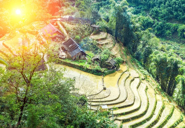 Desa Matahari Pertanian Teras Rice Lapangan Dan Pondok Rumah Bukit — Stok Foto