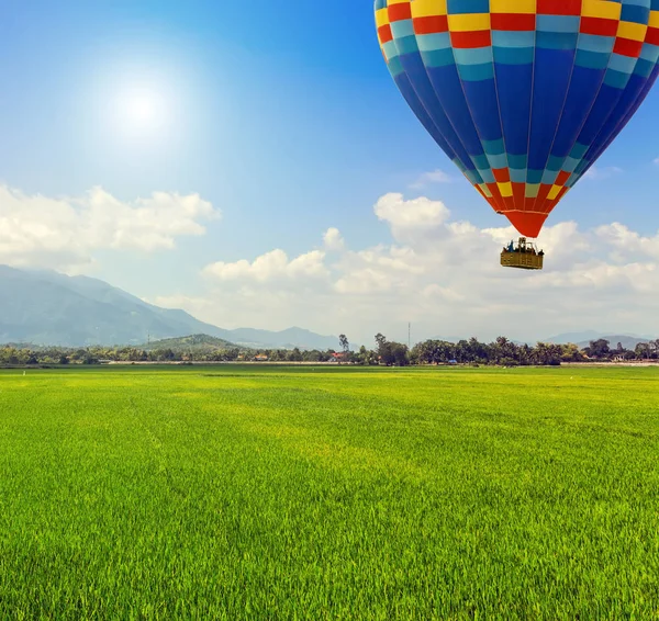 Atardecer Primavera Globos Aire Caliente Agricultura Verde Plantación Campos Arroz —  Fotos de Stock