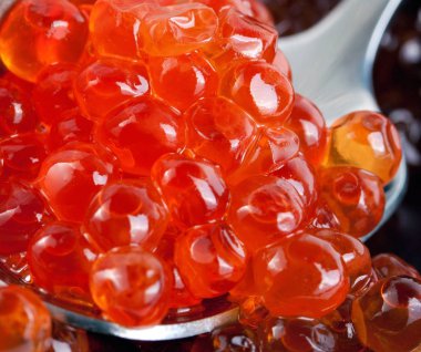 Kaşık kavramı gıda arka plan ile kırmızı havyar