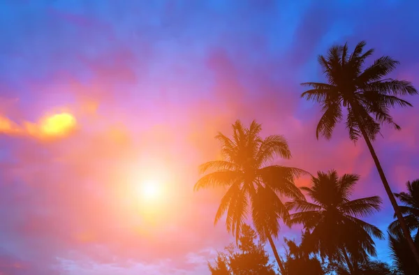 Kolorowy Zachód Słońca Bounty Lub Krajobraz Wschód Słońca Tropikalne — Zdjęcie stockowe