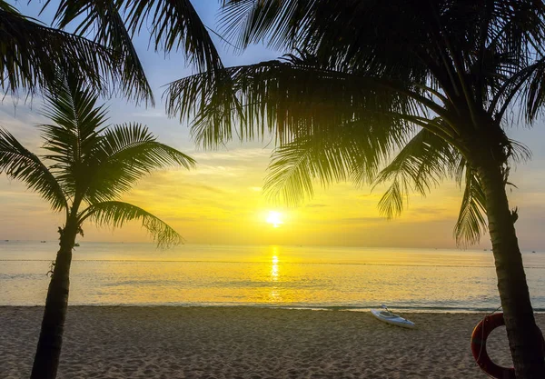 Paisaje silueta de palma océano — Foto de Stock