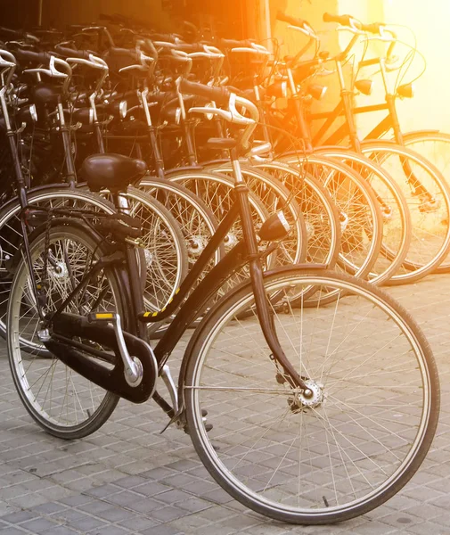 Cykel Transport Parkering Bakgrund Vintage Stil Cyklar Sunrise — Stockfoto