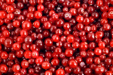 Kızılcık kırmızı Olgun, Cranberries gıda arka plan