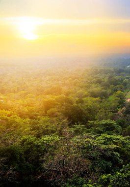 Orman Dambulla Sri Lanka her taraftan hakim bahar sahneleri Sigiriya Kaya ya da Sinhagiri hava panoramik,.