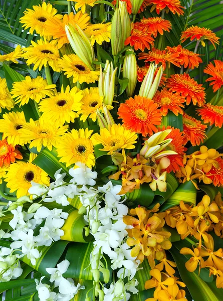 Calla Lily Yellow Gerber Flor Margaritas Fondos Naturaleza Flores Primavera —  Fotos de Stock