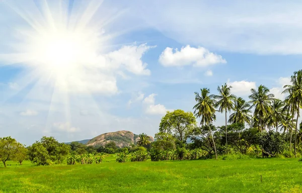 Mountain tropical Palm Spring sun landscape and village in Sri Lanka