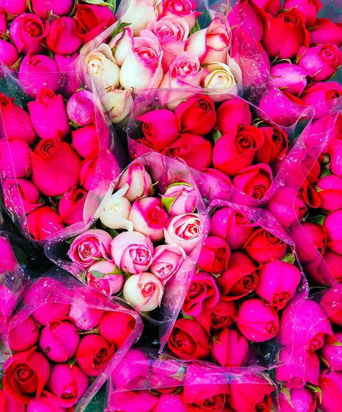 Mazzo Bouquet Rosso Rosa Rose Sfondi Natura Pasqua Fiori Primaverili — Foto Stock