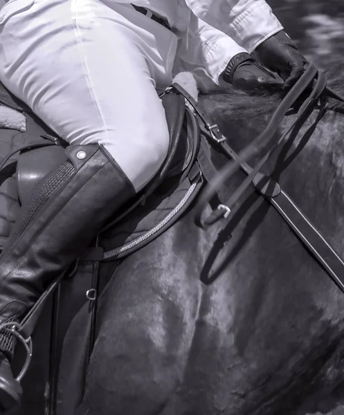 Jinete Caballos Caballos Colgantes Cuero Con Estribos Equipo Caballo Negro — Foto de Stock