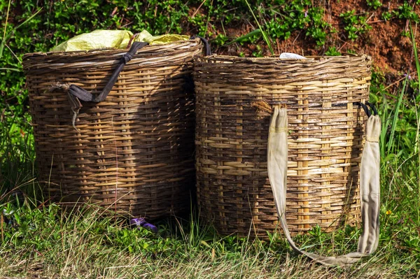 Geflochtene Weidenkörbe Sammler Von Tee Die Teeplantagen Der Insel Sri — Stockfoto