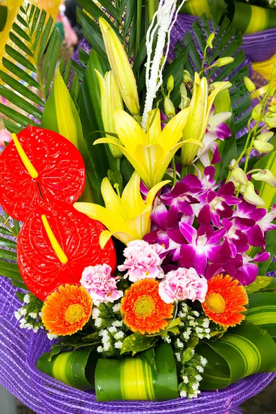 Calla Κρίνος Λουλούδι Υπόβαθρα Φύση Πάσχα Ανοιξιάτικα Λουλούδια Φόντο Αφαιρετική — Φωτογραφία Αρχείου